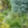 P1130021_1691346_4446_t