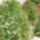 Repkeny_1691091_9103_t