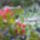 To_a_teraszrol_1691352_6026_t
