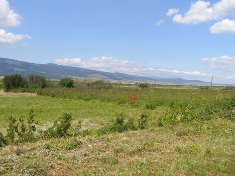 Hargita megye természetvédelmi területei - Benes rétláp 1