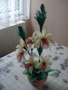 három águ orchidea