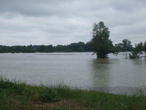 Árvízi védekezés Gönyűn 2013.06.05. délelőtt 13