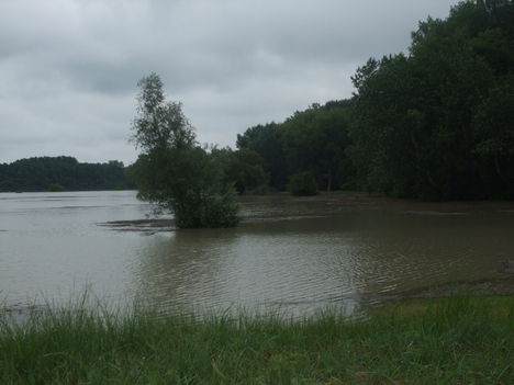 Árvízi védekezés Gönyűn 2013.06.05. délelőtt 26