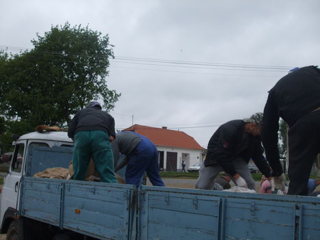 Árvízi védekezés Gönyűn 2013.06.05. délelőtt 32