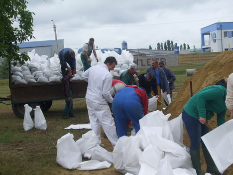 Árvízi védekezés Gönyűn 2013.06.05. délelőtt 38