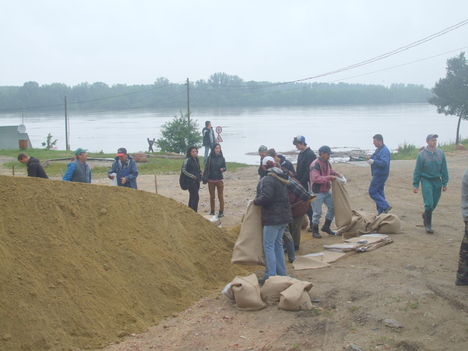 Árvízi védekezés Gönyűn 2013.06.05. délelőtt 40