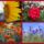 Bekes_szep_napot_mindenkinek_1696201_1454_t