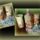 Decoupage__rozsaszin_romantika_1696309_6235_t