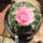 Dscf7144_1696344_6767_t