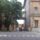 Modena-046_1696914_8452_t