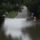 Patona_2013_jun_7_gyor24_felv_1696321_9194_t