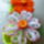 Quilling-044_1697994_6512_t