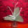 Dscn38571_1699747_5388_t