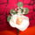 Dscn38581_1699748_1861_t