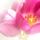 Isten_eltesse_editket_1699265_4569_t