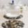 Otlet_aradat_15_1699958_5053_t