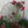 Otletek_a_nagyvilagbol_1_1699916_9762_t