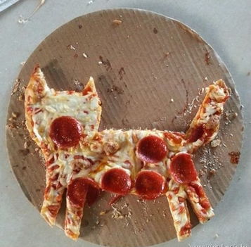 Pizza cica