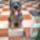 Princ_a_teraszon-002_1699983_7976_t