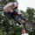 Bmx_masters_2008_2_169013_38076_t