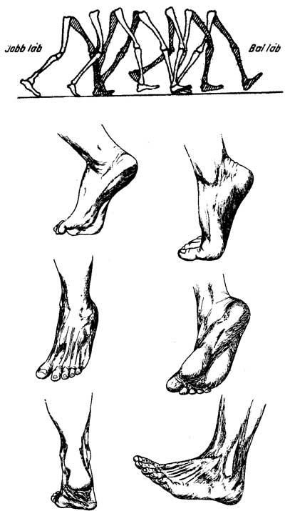 Barefoot és a mezítláb járás előnyei