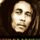 Bob_marley_1006300_2638_t