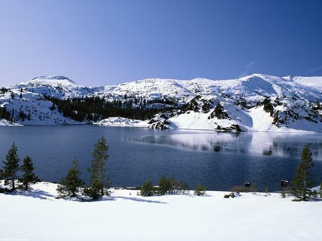 Emerging Winter, Yosemite Nationa