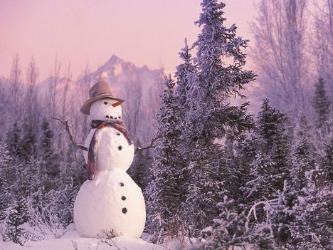 Frosty the Snowman - 1600x1200 - 