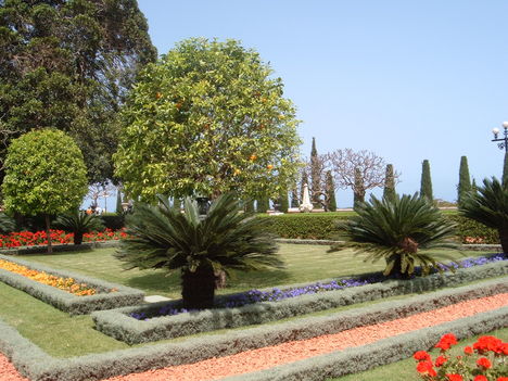 Haifáa (Bahá'i központ kertje)