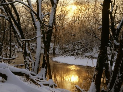 Harpeth River Winter Sunrise, Wil