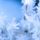 Hoar_frost_purcell_mountains_br_106890_39245_t
