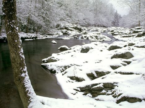 Little Pigeon River, Great Smoky 