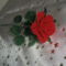 piros rózsa