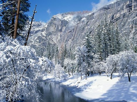 Snow Flocks Yosemite National Par