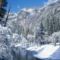 Snow Flocks Yosemite National Par