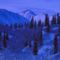 Snow-Covered Alaskan Range - 1600