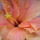 2013_junius_14_005_1711251_6762_t
