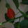 2013_junius_14_170_1711255_6072_t