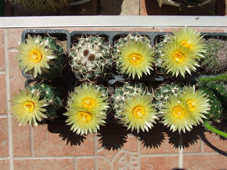 DSCF7389