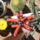 Dscf7391_1711355_3912_t