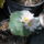 2013_junius_14_087_1712275_3439_t