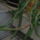 2013_junius_14_188_1712276_6325_t