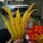 Budha_keze__1712386_9253_t
