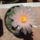 Dscf7451_1712234_1537_t