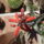 Dscf7452_1712235_9090_t