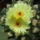 Dscf7466_1712237_4236_t