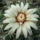 Dscf7474_1712241_8215_t