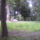 Fenykep0700_1712613_1074_t