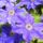 Ki_ismeri_1-001_1712507_7536_t