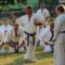 Magyar Shinkyokushin Karate Szervezet - Kálóczi Branch-60_n